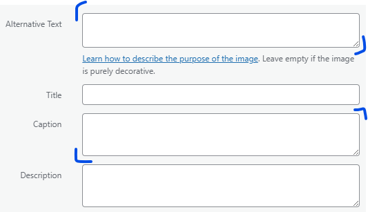 Empty alt text and caption fields in the WordPress media settings, highlighted to show they are separate boxes