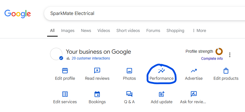 Google business panel for an electrical business with the Performance button circled